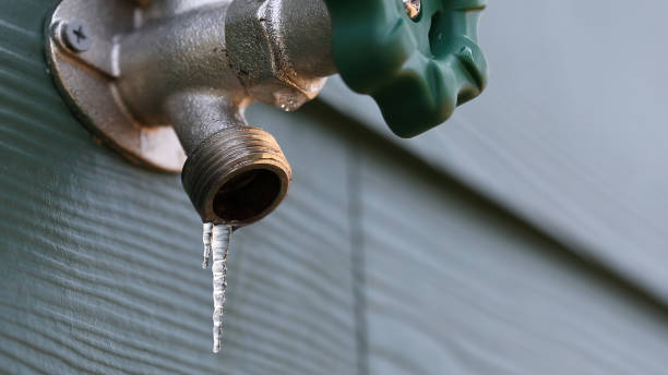  Algonquin, IL Plumbing Pros
